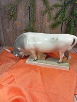 Sérült Zsolnay Sinkó szürke marha, bika