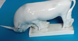 Zsolnay szürkemarha bika