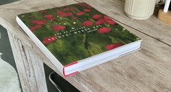 Szinyei Merse Pál művészete kép és kultusz