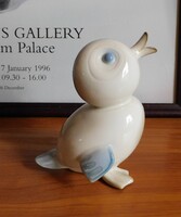 Aquincum Aquazur Ősz Szabó Antónia Hápi kacsa