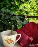 Boch fajansz csésze