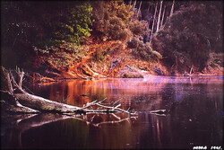 Vajda János (1954-2022) GEMENCI ALKONY 1991