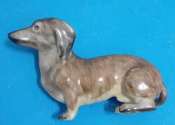 Aquincumi tacskó kutya