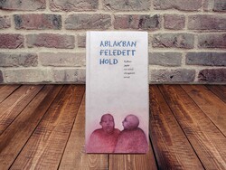 Ryokan - Ablakban feledett hold