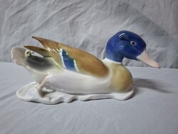 Metzler Ortloff német porcelán vadkacsa