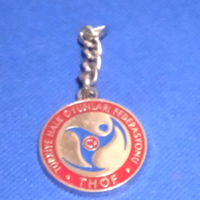 Turkish THOF Medal from Cultural Group from Samsung Republic of Türkiye