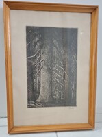 Imre István Fenyves erdő rézkarc