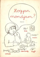 Hogyan mondjam? Útmutató - Raskóné, Patakvölgyiné