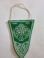 Az Úttörők nemzetközi szervezetének a CIMEA 1970. évi találkozójának emlékzászlója