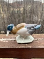 Metzler & Ortloff német porcelán vadkacsa figura