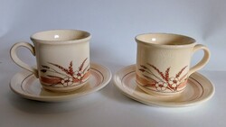 Angol Staffordshire kerámia porcelán bögre csésze füles pohár csészealj tányér kalász virág 2x2 db