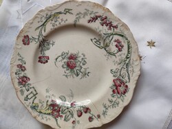 Cauldon Térre de Fer antik fajansz tányér 1.