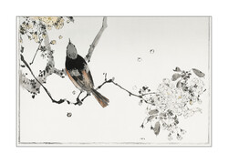 8/15 Sorozat 70*50 cm Antik madaras ázsiai nyomat reprodukciója, poszter, plakát, reprint ukiyo-e