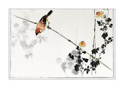 3/15 Sorozat 70*50 cm Antik madaras ázsiai nyomat reprodukciója, poszter, plakát, reprint ukiyo-e