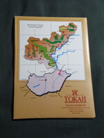 Képeslap,Borkostoló helyek Tokaj-Hegyalján,Sátoraljaújhely,Tolcsvai I. sz. pincészet,pincesor,2000-