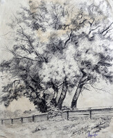 Zsögödi Nagy Imre (1893-1976) eredeti rajza