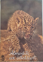 Álmodik az állatkert órarend, Mokép kiadása