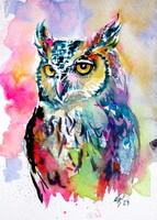 Majestic colorful owl- watercolor painting/ majestic colorful owl - watercolor painting