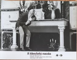 A kilencfarkú macska vitrinkép, filmfotó, 1971