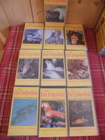 VHS 50 perces, szinkronizált videókazetta 10 db - Sir David Attenborough: Az élet erőforrásai -