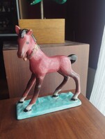 Béla Gál is a fragile, warm-colored, beautiful foal, unique.