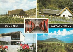 Ba - 1069  Modern Balatoni képek: BADACSONY  (OT.-616/851.)