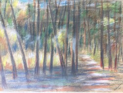 Vadonné Perényi Irén ( 1904 - ? ) -  Napsütötte erdőbelső .