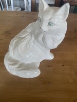 Nagyméretű macska, cica