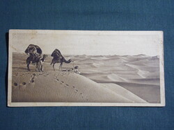 Képeslap,Egyiptom,Egypt The Sea of Sand in the Desert,tevekaraván látkép,részlet,1934-