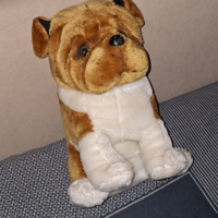 Gyönyörű, Bulldog plüss kutya