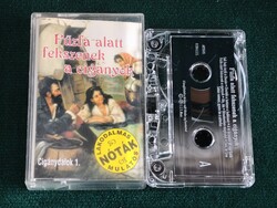 Fűzfa alatt fekszenek a cigányok (Cigánydalok 1.) - Orosz Endre - Ritka E.Z.S. kazetta