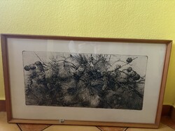 Eredeti,dedikált Gábor Emese rézkarc