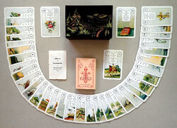 Régi retró vintage Mile Lenormand 1970 német jóskártya vetőkártya kártya pakli saját doboz fadoboz