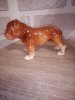 Német porcelán, angol bulldog kutya.