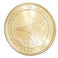 Törökország,1 kurus 2021 - Antólia madarai - Vércse aUNC+ bronz