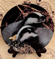 Borz díszítésű porcelán fali tányér, vadász dísztányér (M6047)