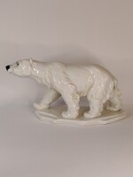 Ritka, ENS nagyméretű jegesmedve.