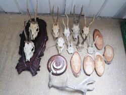 TRÓFEA  , AGANCS ÖMLESZTVE BARKÁCSOLÓKNAK BIKA TÁBLA