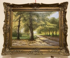 Herminaúti erdő részlet. Beregi József