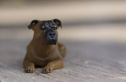 Staffordshire terrier kutya resin figura