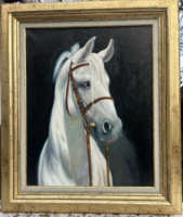 A wonderful horse portrait by Ede Palatin on canvas 50x40 cm + frame