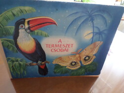 A TERMÉSZET CSODÁI KÉPESKÖNYV Írta és rajzolta: Rudolf Engel-Hardt  Rudolf Arnold Verlag - Leipzig