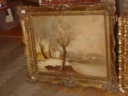 PÁDLY ALADÁR (1881-1949 ):HAVAS FOLYÓPARTI HÁZAK 1904