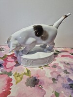 Nagyobb méretű, Rosenthal vadászó cica