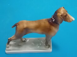 Zsolnay vizsla kutya