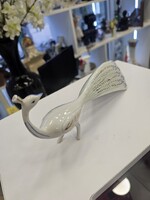 Ősz Szabo Antónia Hollohazi Páva