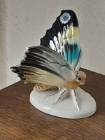 Német  Volkstedt porcelán lepke