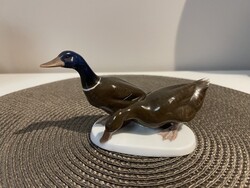 RITKASÁG! Extra gyűjtői Rosenthal kacsapár figura