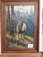 KÁROLY DABRONAKI Vapiti, bucking stag 2018. 341.