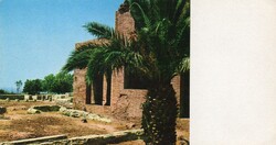 Képeslap: Olaszország. Civitavecchia. (pálmafa)